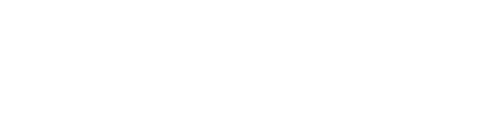Scouts Venezuela